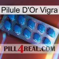 Vigra Gold Pill viagra1